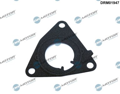 Uszczelka pompy vacum Dr.Motor DRM01947 55192351 FIAT