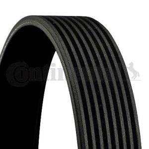 Pasek wielorowkowy CONTINENTAL CTAM 8PK1376 8PK137ES 8PK1375HD