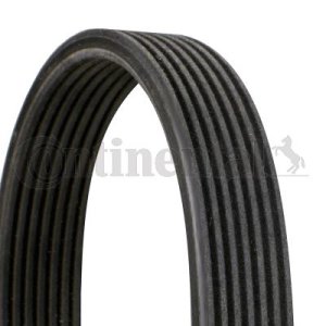 Pasek wielorowkowy CONTINENTAL CTAM 7DPK1884 7DPK1880 7DPK1880