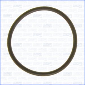 Uszczelka termostatu AJUSA 16073300 N806807S LINCOLN