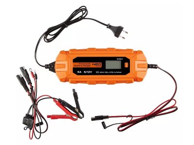 PROSTOWNIK AUTOMATYCZNY 6A/100W 3-150AH