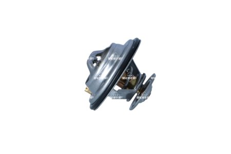 TERMOSTAT VW