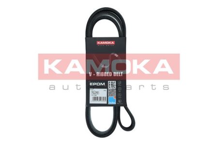 PASEK WIELOROWKOWY 7PK1666