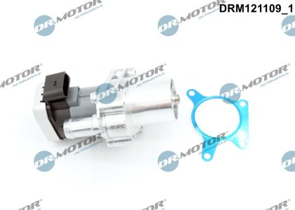 ZAWÓR EGR Z USZCZELKĄ MERCEDES, CHRYSLER