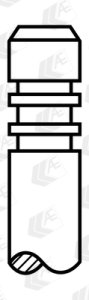 ZAWÓR SSĄCY