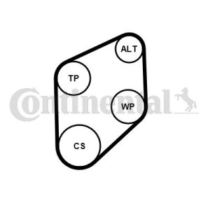 ZESTAW PASKA KLINOWEGO WIELOROWKOWEGO