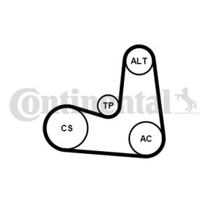 ZESTAW PASKA KLINOWEGO WIELOROWKOWEGO