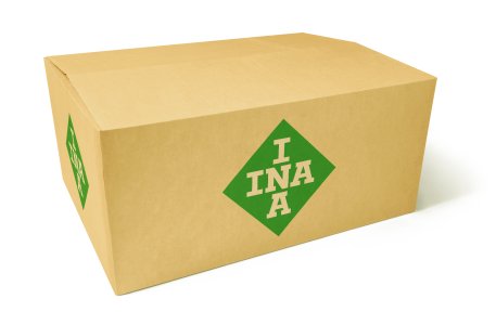 Sprzęgło alternatora INA 535021410 31141RBDE02
