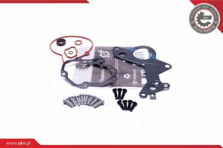 Zestaw naprawczy pompy VACUM SKV 18SKV801 038145209A AUDI FORD SEAT SKODA