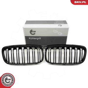 ATRAPA CHŁODNICY BMW 2 F45