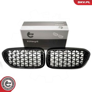ATRAPA CHŁODNICY BMW 5 G30
