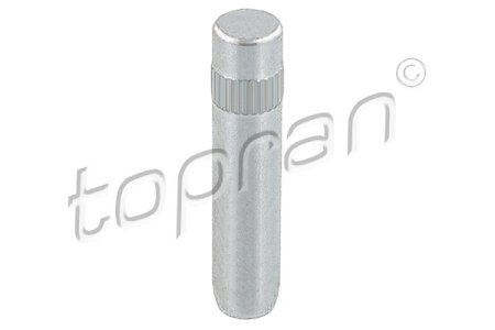 Sworzeń zawiasu TOPRAN 103 416 321831421