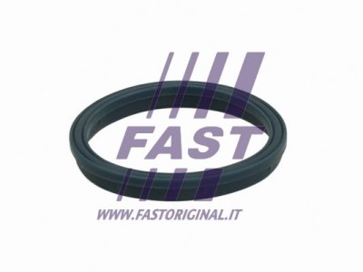 USZCZELKA KOLEKTORA FORD TRANSIT 00> SSĄCY 2.4TDCI