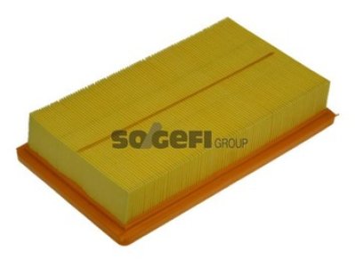 Filtr powietrza PURFLUX A1116 C2892