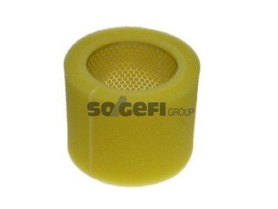 Filtr powietrza PURFLUX A590 C1760