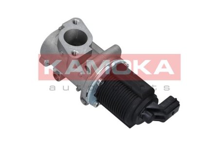 ZAWOR EGR ALFA ROMEO 147 01-10, 156 97-06