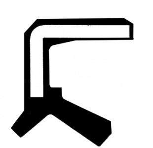 USZCZELNIACZ 43X55X8