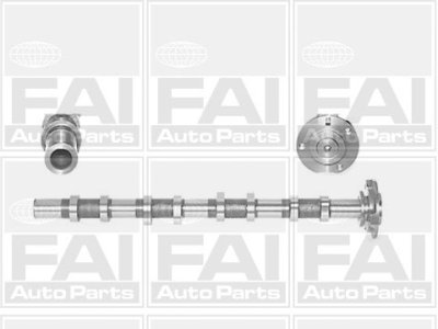 Wałek rozrządu FAI AutoParts C251 1349549