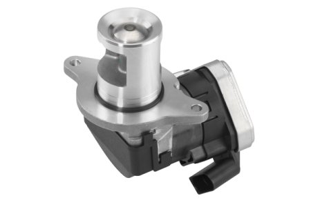 Zawór recyrkulacji spalin WAHLER 7625D 6461401760